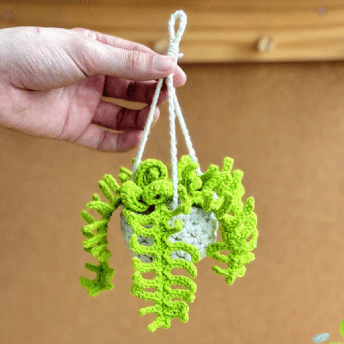 Crochet Plant Pattern Collection – Cute Succulent & Houseplant PDF Bundle