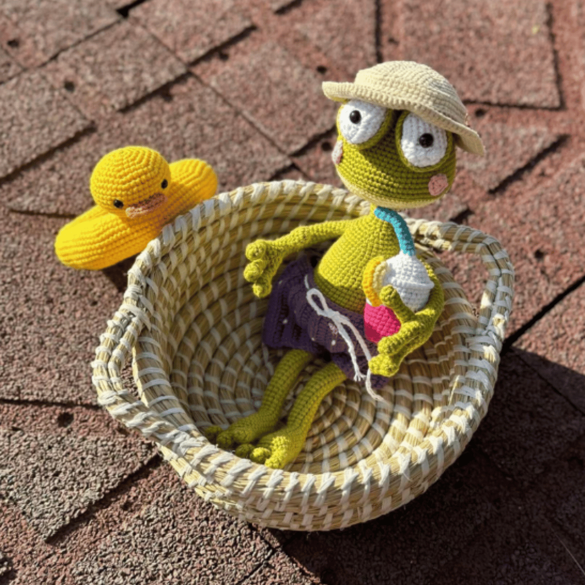 Sunny the Beach Frog