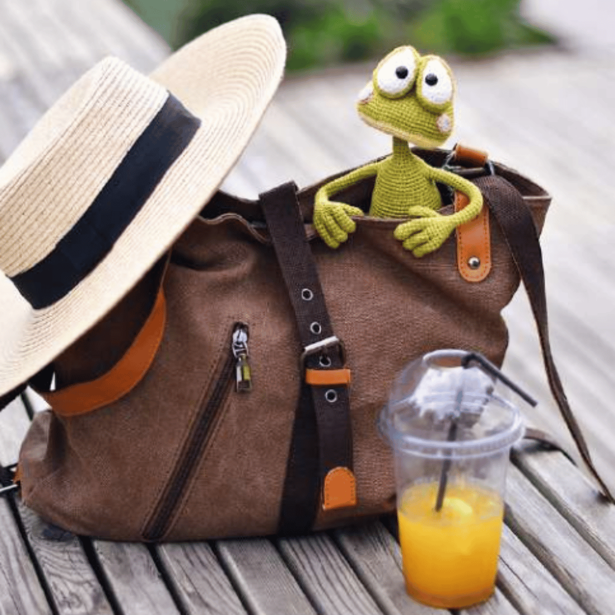 Sunny the Beach Frog