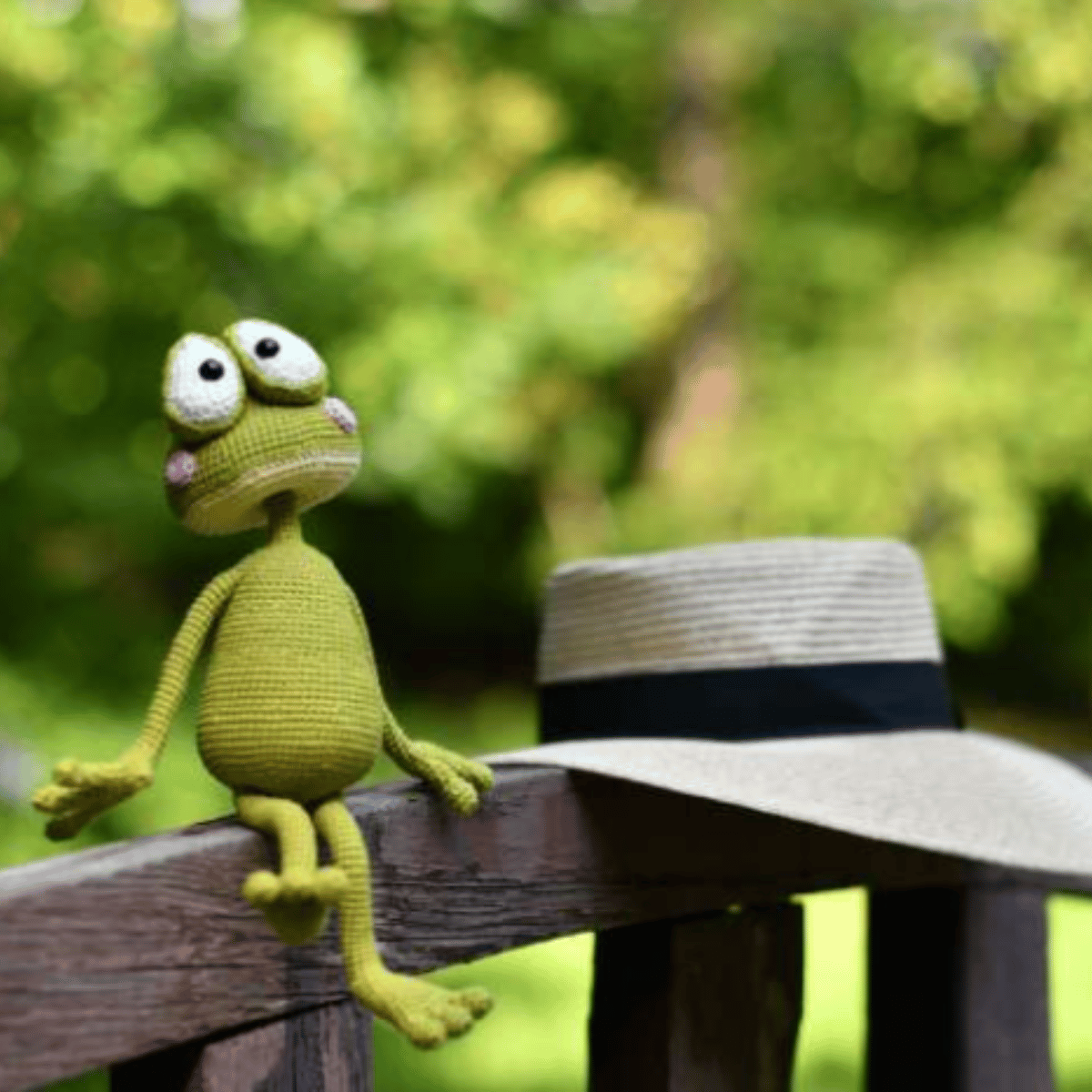 Sunny the Beach Frog